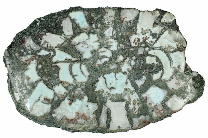 Slice of Larimar Replaced Wood Limb Cast #315011